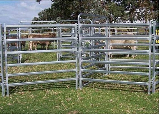 Round Pipe Welded Hot Dip Galvanized Horse Fence Panels 2.5x2m
