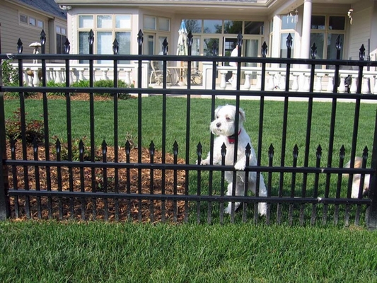 Australian Standard Pressed Spear Top Security Picket Garrison Steel Tubular Fence