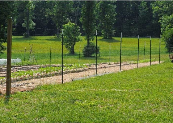 Vineyard Studded Steel T Posts 1.33 Lb Per Foot For Fence