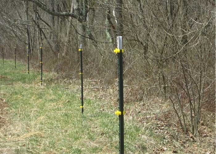 8ft 1.33lbs/Ft Green Painted Studded T Fence Post
