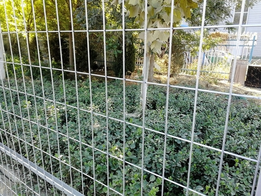 Canadian Temporary Fence / Welded Wire Mesh Fence Panels