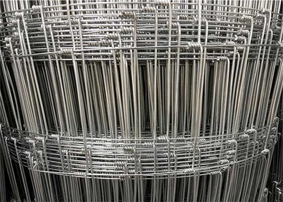Animal Rural Farm 150mm Hinge Joint Fence Hot Dipped Galvanized Steel Wire Mesh