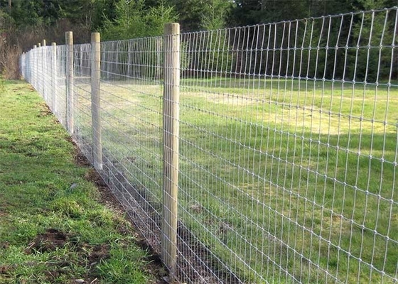 Animal Rural Farm 150mm Hinge Joint Fence Hot Dipped Galvanized Steel Wire Mesh