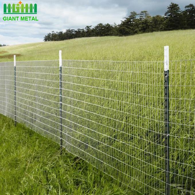 OHSAS Painting 1300 Steel Star Pickets For Garden Fencing