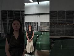 Clear View Fence Anti Climb Security Fence making pallet